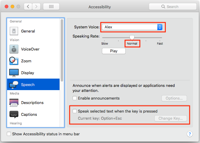 The speech accessibility options