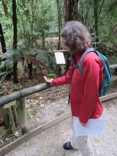 Shoshanna feeding kakariki