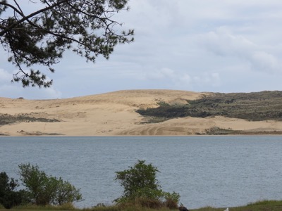 Opononi shoreline