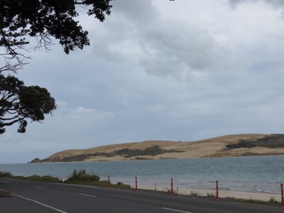 Opononi shoreline