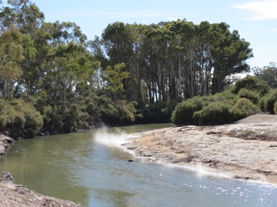 Rotorua river walk