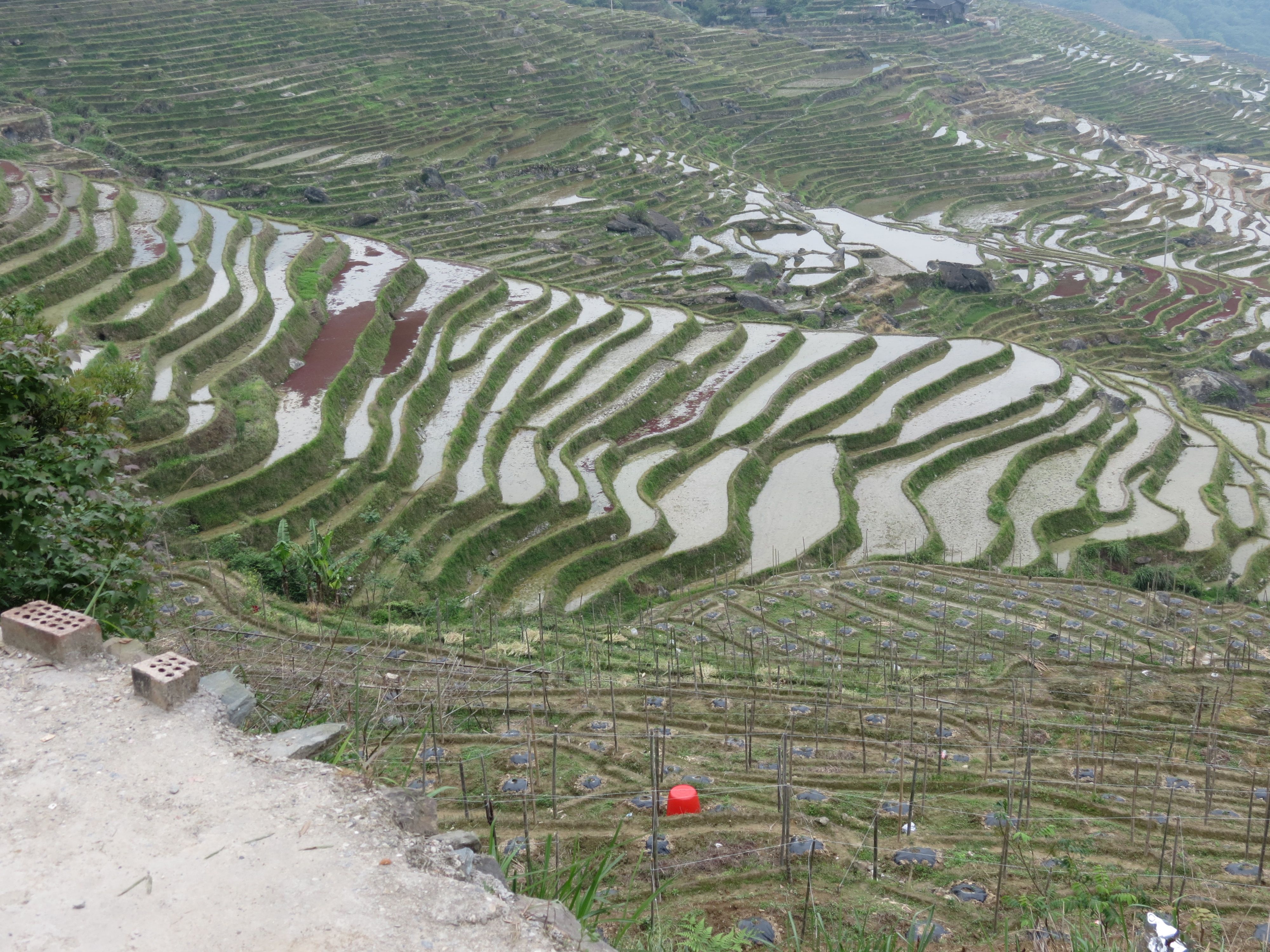 Dong terraces