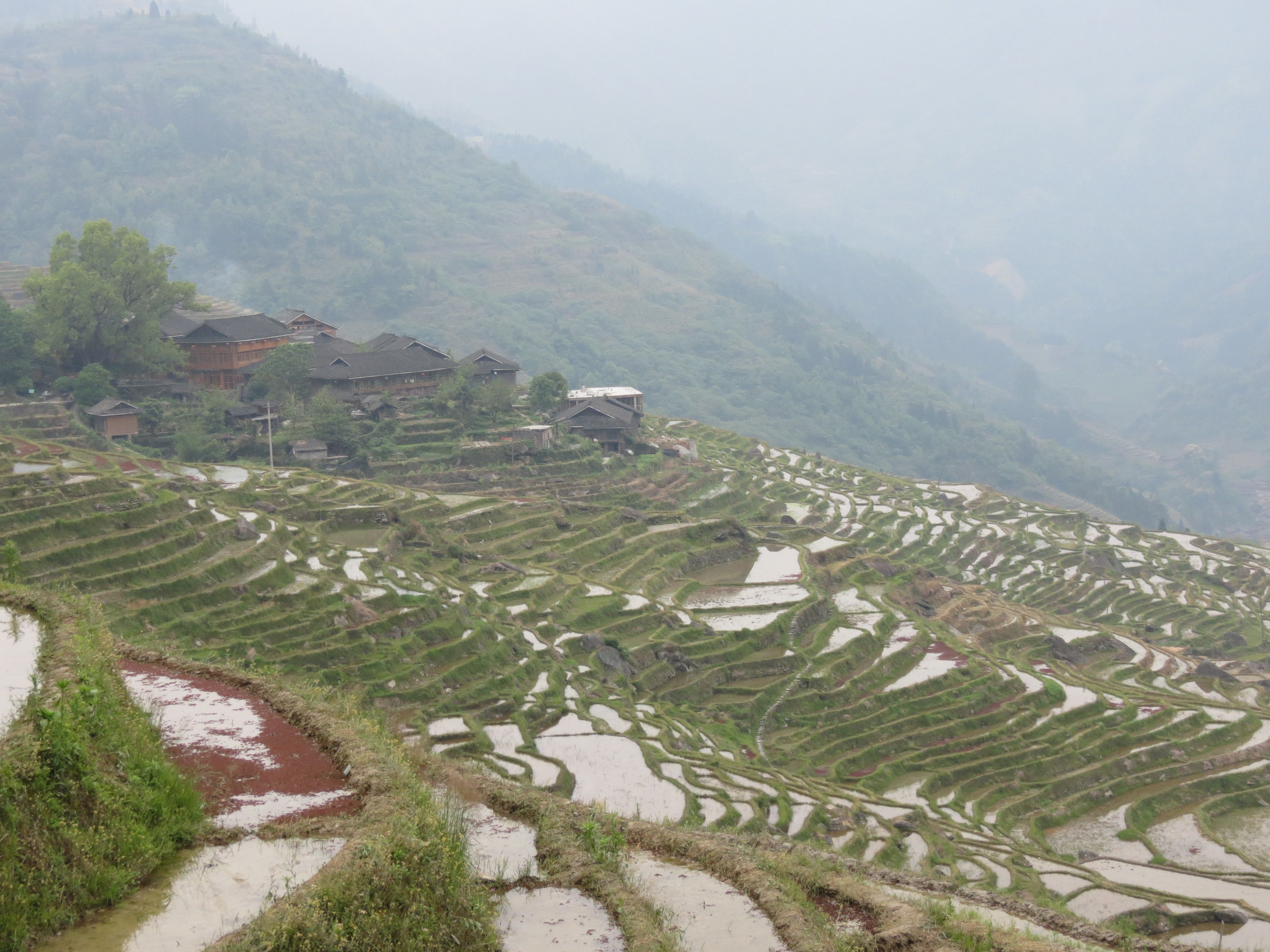 Dong Terraces