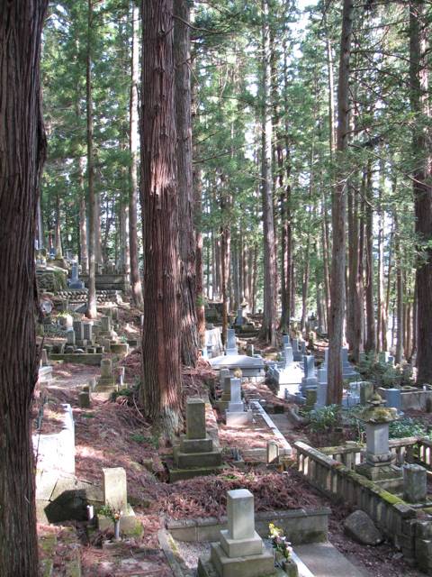 A cemetary behind the temple, nestled amidst the hinoki (cypress) trees