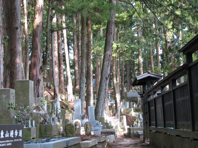 Cemetary behind the temple