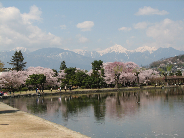 Cherries with mountain backdrop