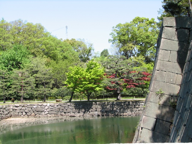 Diverse foliage colors at Nijo-jo: