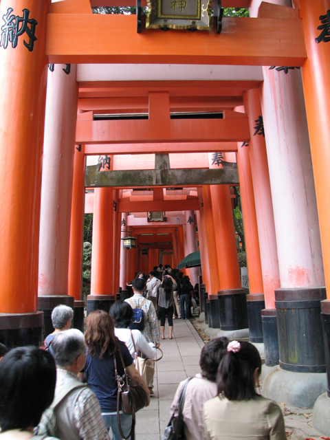 Inari torii