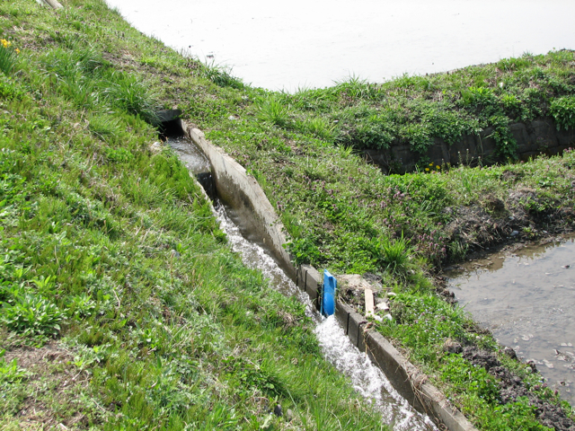 Rice irrigation system