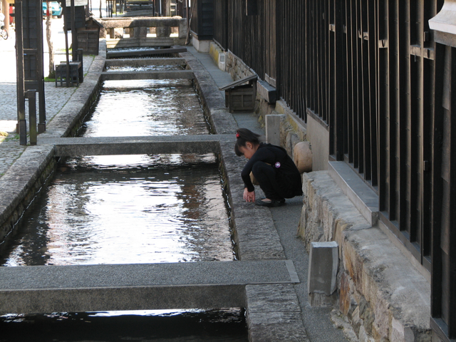 Child watching carp in the Seto River